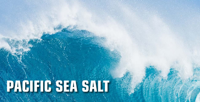 pacific sea salt supplier gold coast